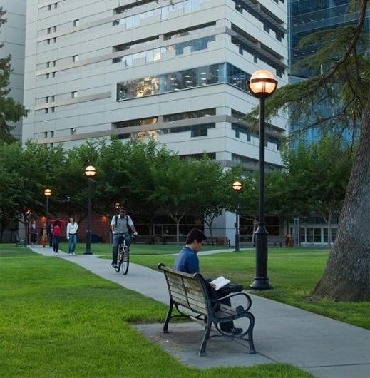 菠菜网lol正规平台 students, faculty and staff traverse campus in front of Dr. Martin Luther King Jr. Library.